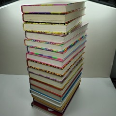 Set of 1-16 Dork Diaries Hardcover Books by Rachel Renee Russell Lot Series