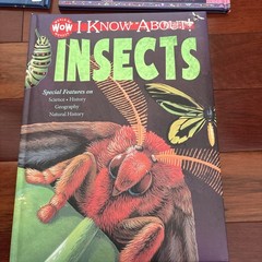 World of Wow, Set Of 4 Books, Body, Insects, Universe, Planets