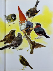 GNOMES by Huygen & Poortvliet 1977 Abrams 100s of color Illus 1st Ed HC/DJ VG+