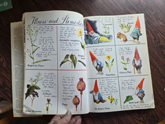 Gnomes by Wil Huygen & Rien Poortvliet 1977 Hardcover Illustrated Dust Jacket