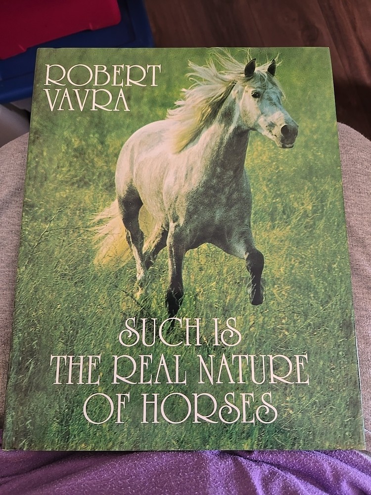 Such is the Real Nature of the Horses by Robert Vavra