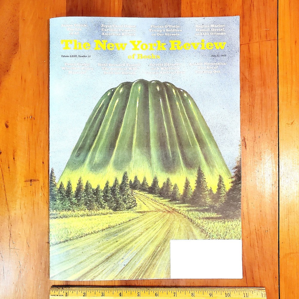 The New York Review of Books Magazine July 24 2025 FINE Lie of AI Brothers Grimm