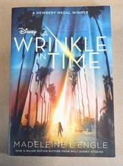 Lot of 11 A Wrinkle In Time by Madeleine L’Engle GUIDED READING Teachers Set