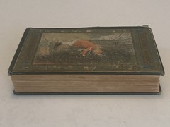 2nd Edition Secret Garden Frances Hodgson Burnett 1911 A Classic Book Vintage