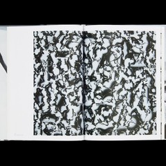 Tomoo Gokita THE GREAT CIRCUS Art Book Exhibition Catalog Contemporary Art