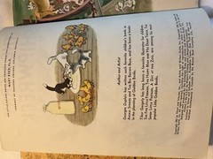 Lot Of 5 A First Little Golden Book Vintage Hardcovers 1940s-1970s