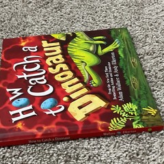 Adam Wallace How to Catch a Dinosaur Hardcover Illustrated Picture Book Ages 4-8