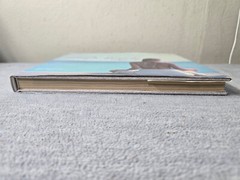 Island Beauty Hardcover India Hicks Hardcover