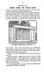 1915 War-Time Gardening How To Grow Your Own Food 64 Pages