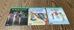 SAXON PHONICS & SPELLING STUDENT READERS / 26 BOOKS / GRADE 1 / LEVEL C