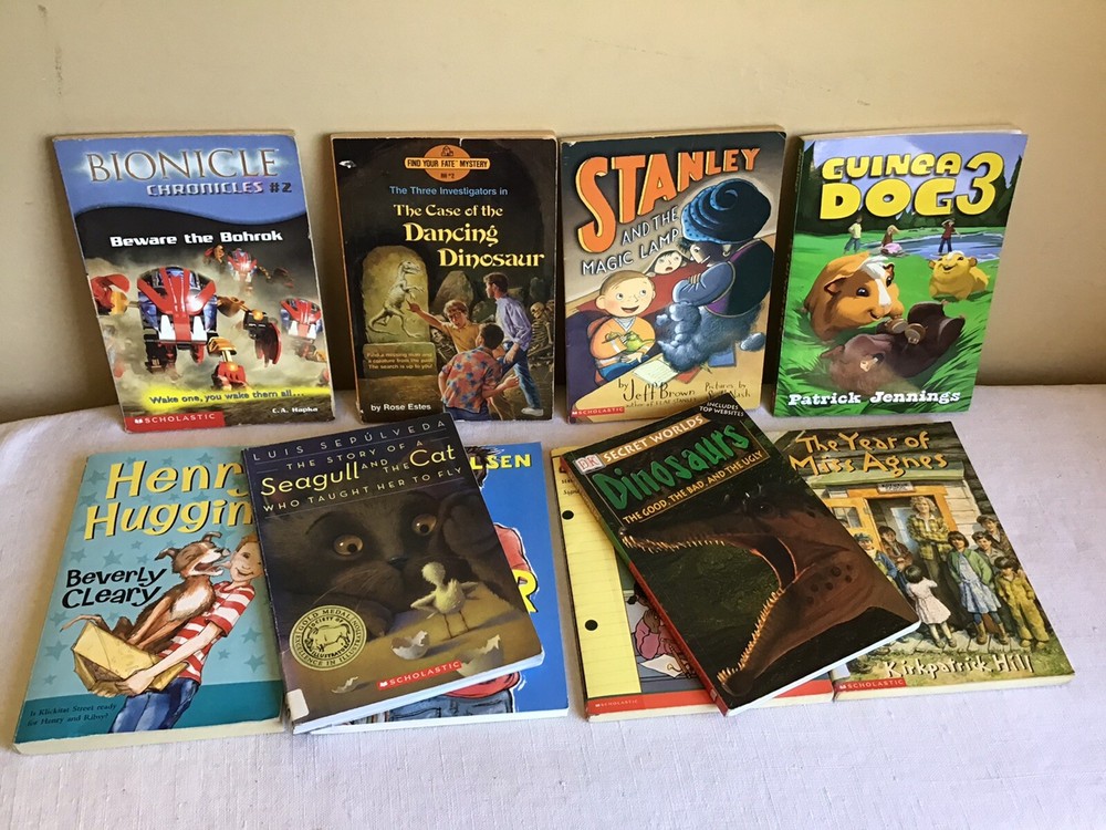 Mixed Lot Of 10 PB Scholastic Young Reader Fictional Novel Class Teacher Set