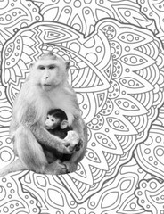 Save the primates Coloring book for Adults Teens 108 Pages 8.5 x 11 for All Ages