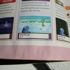 Pokemon HeartGold & SoulSilver: The Official Pokemon Johto Guide & J Pokedex…