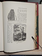 The Insect Book by Leland O. Howard, Ph.D. HC 1903 Red Leather/Green Cloth