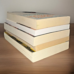 Book Lot ~ Trade Paperbacks ~ Fiction ~ Bundle ~ Mixed Titles ~ 5 Books