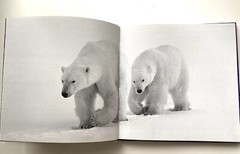 Book” Yo Bro!: My Brother, My Friend” by Tom Burns size 6.5×6.5in.
