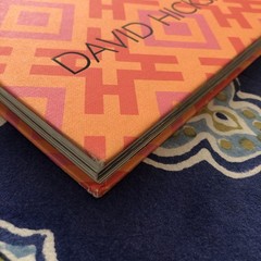 David hicks Designer By Ashley Hicks First Edition