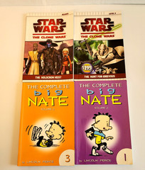 Boys 3rd/4th/5th/6th Grade Chapter Books Lot of 42 Homeschool PB Scholastic
