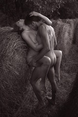 Love Sex, Volume 2 – Hardcover Denman, Gordon – B&W Imagery – LAST ONE!!!!