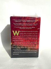 Gregor the Underland Chronicles SUZANNE COLLINS Boxed Book Set 1-5