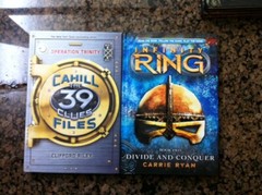 LOT 19 COMPLETE 39 CLUES 1-11 Cahills Vs Vespers 1-4 Infinity Ring 2-4 Trinity