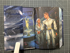 Dire Bound – Sable Sorensen FairyLoot Exclusive Edition – Hardcover Unsigned NEW