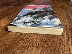 Demon’s Beach by Nicole Davidson YA Horror Avon Flare Vintage Paperback