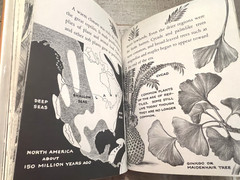 Dinosaurs by Herbert S. Zim Illus. by James Gordon Irving c.1976 Library Edition