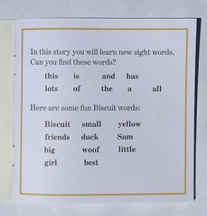 Biscuit Phonics Children’s Books Beginning Readers Kindergarten 1st Grade Lot 24