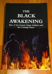 The Black Awakening:- paperback