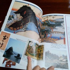 Japan Souvenirs & Scenic Views 1980 134 pages used