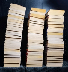 ROMANCE PAPERBACKS – BUILD YOUR OWN LOT Silhouette