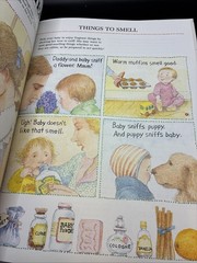 Baby Time (a Grownup’s Handbook To Use With Baby) Laurie Krasny Brown 1989
