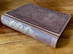 Honey Blossoms for Little Bees 1859 Victorian Decorative Binding Antique 1st Ed