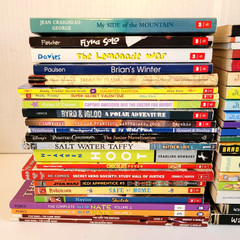 Boys 3rd/4th/5th/6th Grade Chapter Books Lot of 42 Homeschool PB Scholastic
