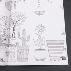 Secret Garden Chinese Edition Coloring Book Paperback 16 Pages Like New