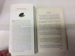Commonwealth A Novel by Ann Patchett (2016, First Edition Paperback) Good