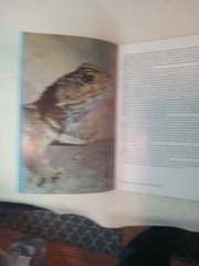 $3.45 – Discover New Zealand, booklet, Wild Animals of New Zealand