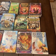 Chapter Books Fantasy-Lot of 18-dragons, Warriors, Narnia, Choose Own Adventure