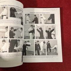 THE ART OF JOINT LOCKING By Arlo Welty