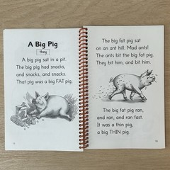 Go Phonics The Fat Cat Short Vowel Stories Level 2 Decodable Reader Book