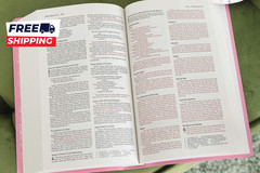 NIV Gift and Award Bible Leather-Look Pink Red Letter Comfort Print