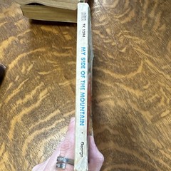 My Side of the Mountain Jean George Paperback Scholastic 1969