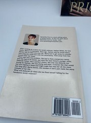The Temporary Amish Nanny & The Amish Bishops Daughter Large Print books
