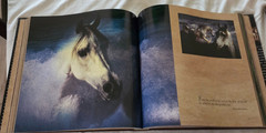 Vavra’s Vision: Equine Images by Robert Vavra – Pre-Owned Excellent Condition