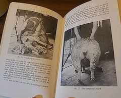 Wool Away : The Art and Technique of Shearing by Godfrey Bowen (Hardcover) RARE