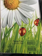 Opal for 3rd Grade Teacher Edition Part Two : Mosdos Press Literature Series by