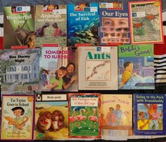 Lot of 53 Children’s Learning to Read Books Joy Cowley Books Sunshine Books