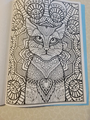 CAT COLORING – 32 Inspiring Designs for Adults -Relax & Enjoy -Escape & Breathe