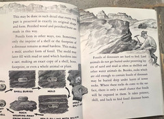 Dinosaurs by Herbert S. Zim Illus. by James Gordon Irving c.1976 Library Edition